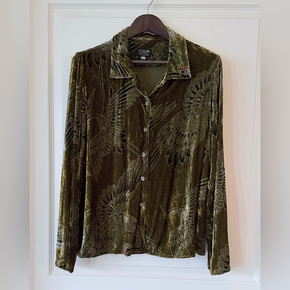 CITRON Santa Monica Beautiful Velvet Shirt with Olive and Blue Hues Sz L